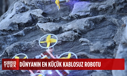 Dünyanın en küçük ve en hafif kablosuz robotu şekil değiştirebiliyor