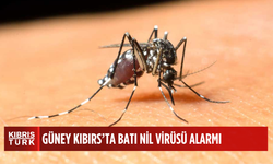 Batı Nil Virüsü konusunda alarm