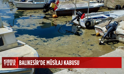 Yine ortaya çıktı: Kıyıları sarıyor...