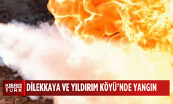 Dilekkaya’da balyalar, Yıldırım köyünde ise narenciye fidanları yandı
