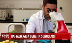 Haftalık gıda denetim sonuçları… 3 yerli ve 1 ithal üründe limit üstü bitki koruma ürünü tespit edildi