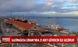 Gazimağusa Limanı'nda 21 güvercin ele geçirildi: 2 tutuklu
