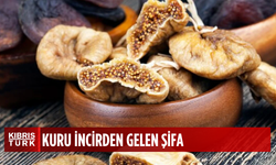 Kuru incir şifa saçıyor! Hangi hastalıklara iyi geliyor? İşte kuru incirin bilinmeyen faydaları...