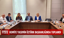 Cumhuriyet Meclisi, Hukuk, Siyasi İşler, Dışilişkiler ve Savunma Komitesi toplandı