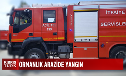 Mersinlik Göleti’nin güneyindeki ormanlık arazide mangal yakmaya çalışan kişi yangına sebep oldu