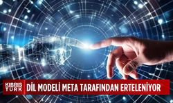 Meta dil modelini erteliyor