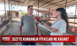 Kıbrıs Türk Haber uzmanına sordu: 2025'te kurbanlık fiyatları ne kadar, kurbanlık nasıl seçilir?