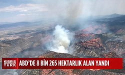 ABD'nin Arizona eyaletindeki orman yangınlarında 8 bin 265 hektarlık alan yandı