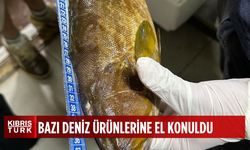 Restoranlara denetim… Tarım Bakanlığı bazı deniz ürünlerine el koydu