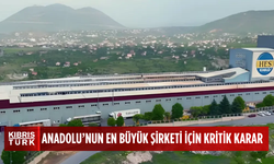 TMSF, Anadolu'nun en büyük şirketini satışa çıkardı