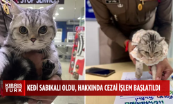 Polisleri canından bezdiren kedi, sabıkalı oldu
