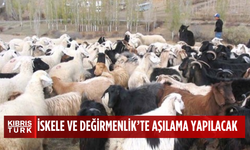 İskele ve Değirmenlik’te Koyun Keçi Çiçek Hastalığı tespit edildi…Acil aşılama yapılacak