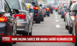 İspanya'da adalarda yaşayan yabancılar, hane başına sadece bir araba sahibi olabilecek