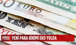 Yeni para birimi geliyor! "Eko" için çalışmalar yoğunlaştı