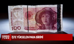 Ne dolar ne euro! İşte yükselen para birimi