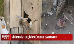 Korku dolu anlar! Sinir krizi geçirip kürekle saldırdı
