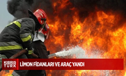 Lefke ve İskele’de yangın: Limon fidanları ve araç yandı
