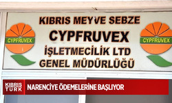 Cypfruvex narenciye ödemelerine başlıyor
