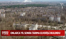 Çernobil tarım arazileri nükleer felaketten onlarca yıl sonra tarıma elverişli bulundu