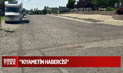 Tamamen istila ettiler! Halk onlara 'kıyametin habercisi' diyor