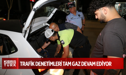 ASAYİŞ VE TRAFİK DENETİMLERİ