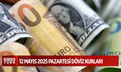 Dövizde son durum
