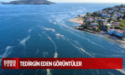 İstanbul açıklarında müsilaj görüldü