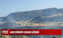 Avtepe-Kuruova köyleri arasındaki yangında yaklaşık 400 dönümlük alan zarar gördü