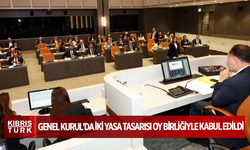 Genel Kurul'da iki yasa tasarısı oy birliğiyle kabul edildi