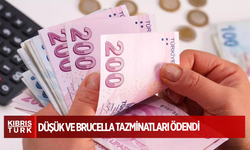 Düşük ve brucella tazminatları ödendi