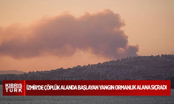 İzmir'de çöplük alanda başlayan yangın ormanlık alana sıçradı