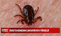 Sivas'ta keneden can kaybı 10'a yükseldi