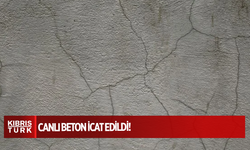 Canlı beton icat edildi: Çatlakları kendi kendine onarıyor