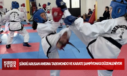 Şükrü Arusan anısına taekwondo ve karate şampiyonası düzenleniyor