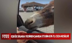 Eşeğe sigara yediren şahsa 173 bin 876 TL ceza kesildi!