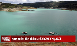 Narenciye Üreticiler Birliği'nden su dağıtımında adalet ve planlama çağrısı