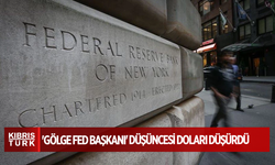 'Gölge Fed Başkanı' düşüncesi doları düşürdü