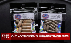 Yeni Zelanda'da depresyon, "sihirli mantarla" tedavi edilebilecek