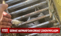 Akpınar: Toby kahraman oldu, Barni kurtarıldı