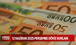 Euro rekor tazeledi