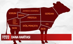 Kurban etinin bölgelere göre kullanım rehberi