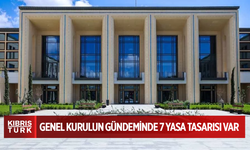 Meclis toplanacak: Genel kurulun gündeminde 7 yasa tasarısı var