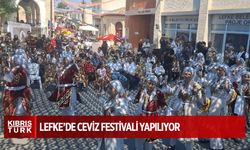 Lefke’de Ceviz Festivali yapılıyor
