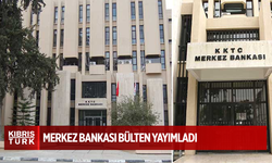 2025 yılının birinci çeyreğine ilişkin bülten yayımlandı