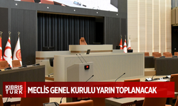 Genel Kurul'un gündeminde üç yasa tasarısı var