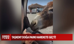 Taşkent Doğa Parkı harekete geçti!