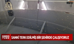 Tekirdağ'da korkutan görüntüler! 'Burası terk edilmiş şehir gibi, etlerimizi yiyorlar'