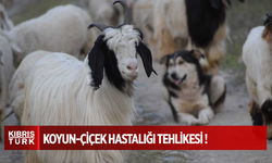 ÇİÇEK YAYILMAYA DEVAM EDİYOR