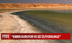 Biyologlar Derneği'nden Dünya Çevre Günü’nde uyarı