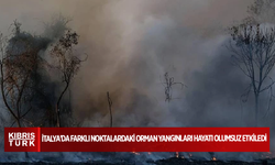 İtalya'da farklı noktalardaki orman yangınları hayatı olumsuz etkiledi